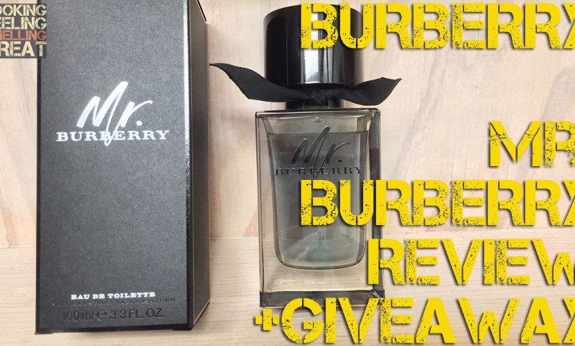 Mr. Burberry by Burberry Review