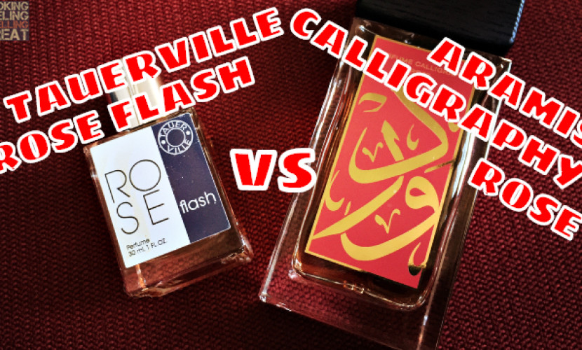 Tauerville Rose Flash vs Aramis Calligraphy Rose