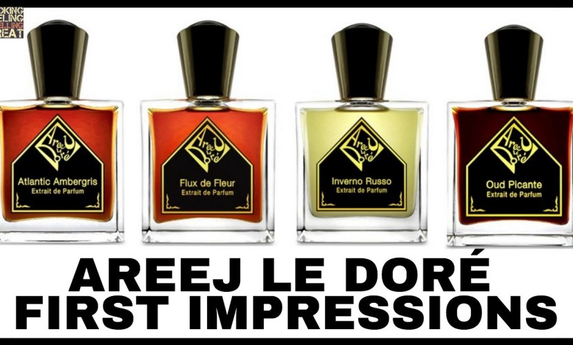 Areej Le Doré Perfumes First Impressions