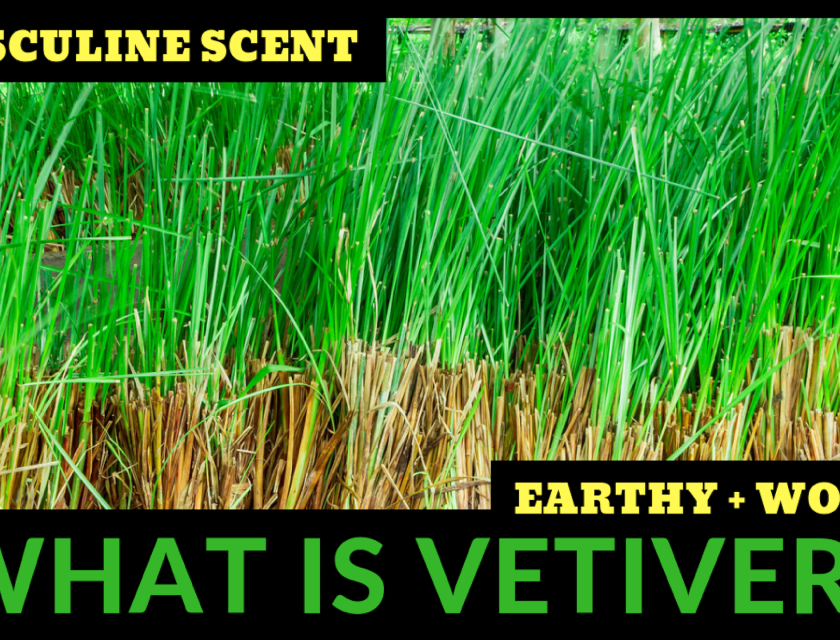 What Is Vetiver?