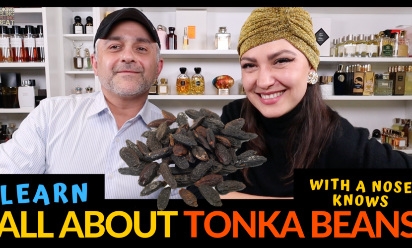 What Are Tonka Beans? Everything You Need To Know About Tonka Beans