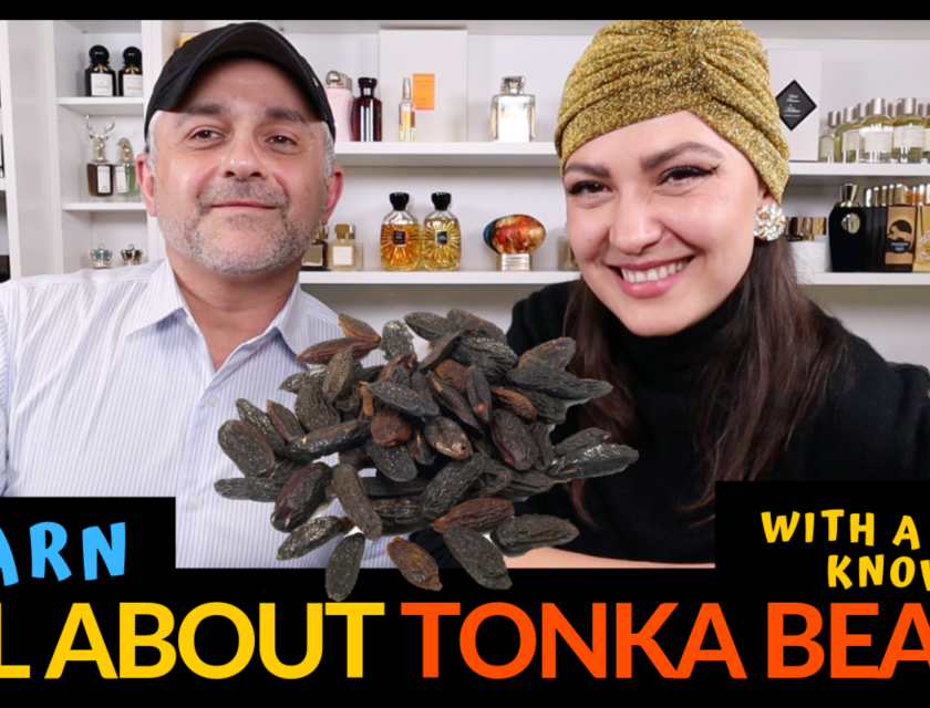 What Are Tonka Beans? Everything You Need To Know About Tonka Beans