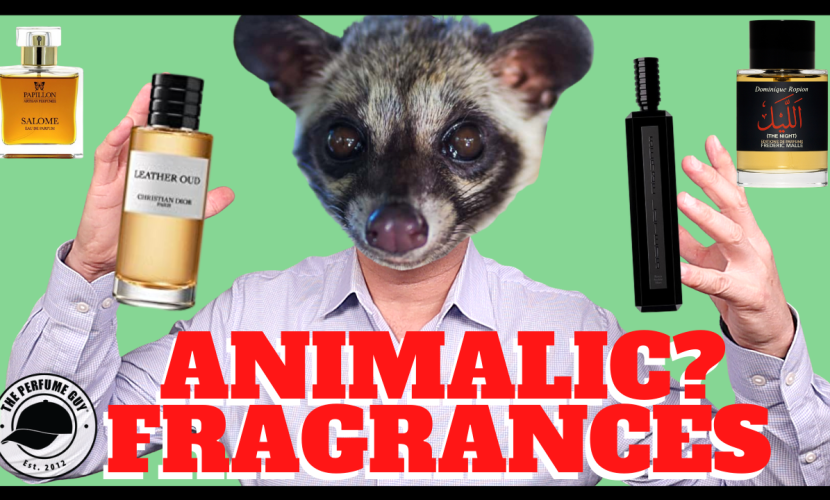What Are Animalic Perfumes? What Do Animalic Perfumes Smell Like? Civet, Castoreum, Musk, Ambergris, Hyrax + Animalic Fragrances