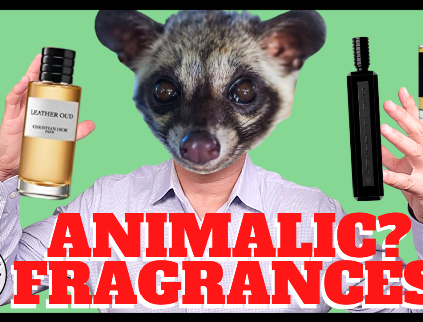 What Are Animalic Perfumes? What Do Animalic Perfumes Smell Like? Civet, Castoreum, Musk, Ambergris, Hyrax + Animalic Fragrances
