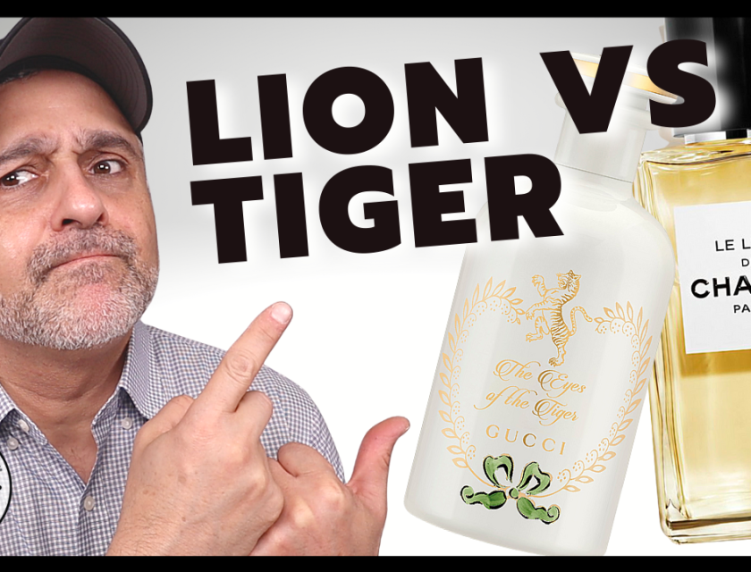 Chanel's Lion vs Gucci's Tiger | Battle Of Two Amber Perfumes | Le Lion vs The Eyes Of The Tiger